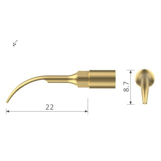 Xpedent Ultraschallspitze UP1 Scaling (passend für den Einsatz mit MECTRON® Geräten)