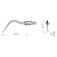 Xpedent Ultraschallspitze Scaling NK5 (passend für...