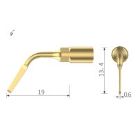 Xpedent Ultraschallspitze UC1 Extraktion (passend...