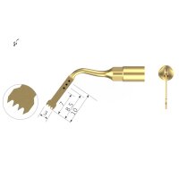 Xpedent Ultraschallspitze 4 Paro (passend für den...